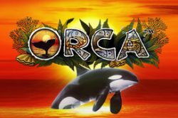 Orca